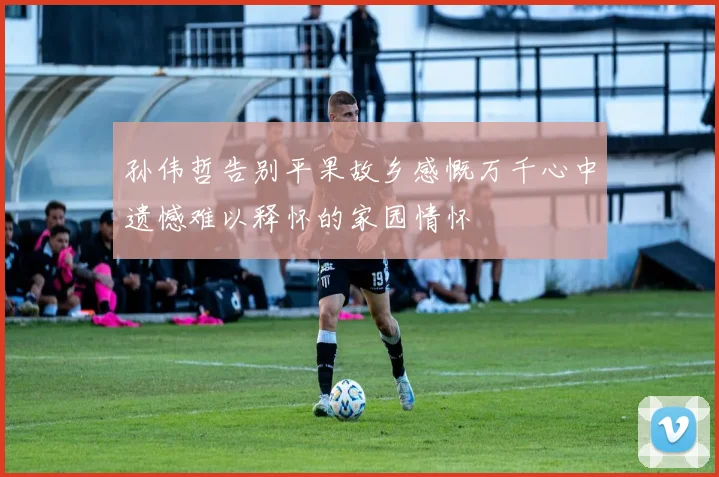 孙伟哲告别平果故乡感慨万千心中遗憾难以释怀的家园情怀