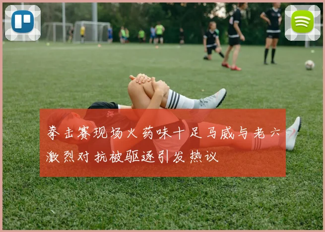拳击赛现场火药味十足马威与老六激烈对抗被驱逐引发热议