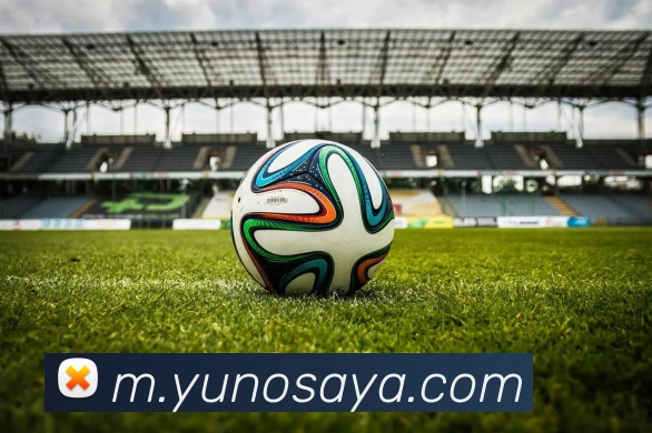 MKSports官方网站入口全站App